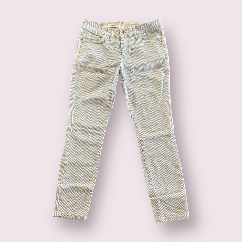 Anthropologie Pilcro and the Letterpress Striped Mid-Rise Jeans Size: 29